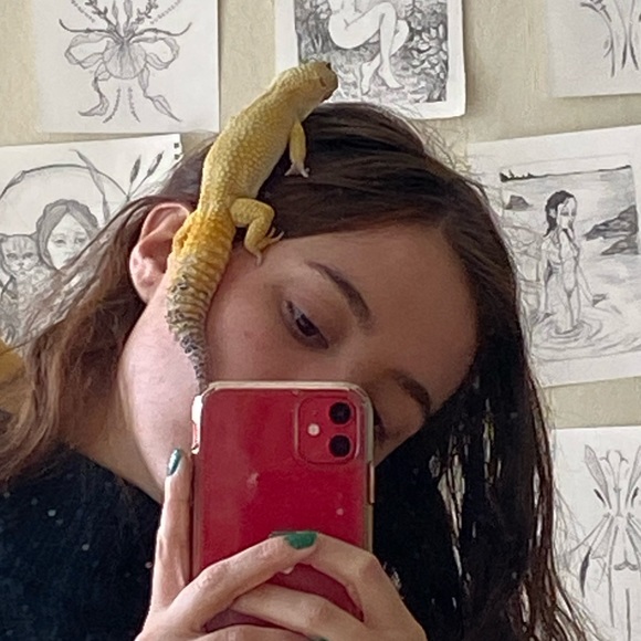 Meet your Posher, Zoe - Picture 1 of 1